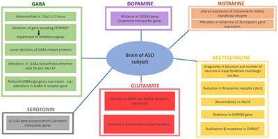 Current Enlightenment About Etiology and Pharmacological Treatment of Autism Spectrum Disorder